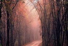 2018俄罗斯世界杯的阿根廷队为何让人又爱又恨？