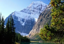 看直播足球赛有哪些独特的体验和实用技巧？